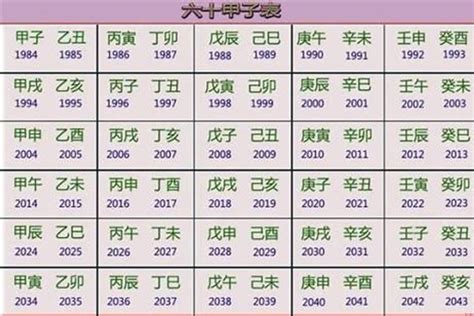 癸卯年五行|2023年五行属什么 2023年五行属什么命